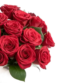 Imagen PNG para descargar